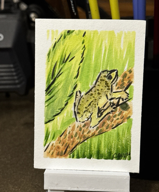 Charlie Gill Original ACEO Drawing "Froggy on a Branch" Frog Nature Signed 2020