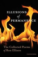 Ron Ellison | Illusions Of Permanence | Taschenbuch | Englisch (2015)