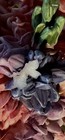 Bild 8 von 8