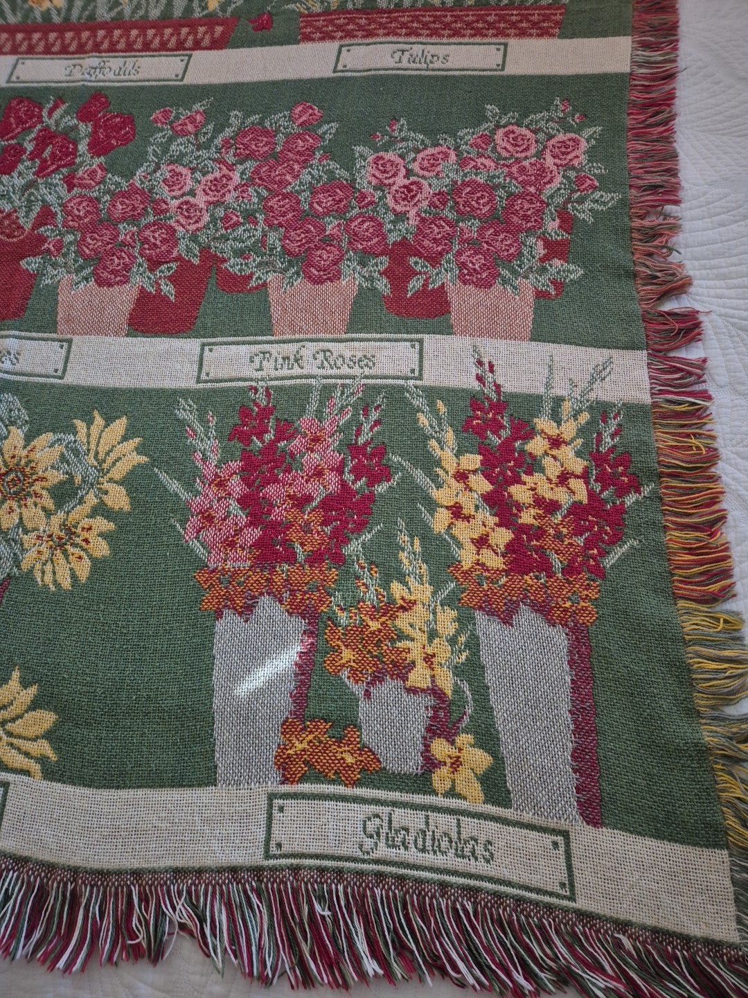 Picture 10 of 24