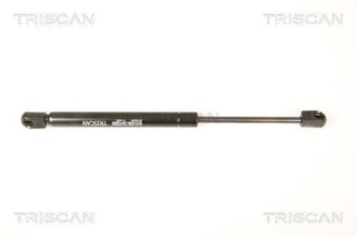 TRISCAN Gasfeder Hinten für Tt Roadstar 8710 29291