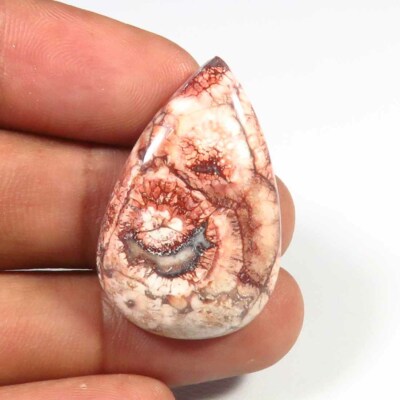 Seltene Natural Bird Eye Jasper Cabochon Edelstein 30x20x6 mm Tropfenförmig