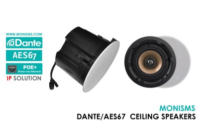 dante ceiling speaker