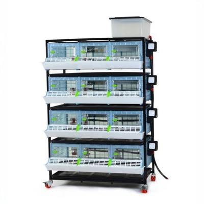 Chick Brooder - 4 Layer H: 9.5''