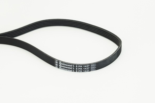 Keilrippenriemen Continental Ctam 5PK1427 FÜR Mitsubishi Poly V Riemen-image