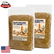10 LB Dried Black Soldier Fly Larvae BSF for Chickens with More Calcium Non GMO