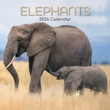 ELEPHANTS - 2026 WALL CALENDAR - BRAND NEW - 223702