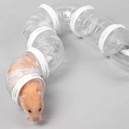 Tubes cage hamster épissés au hasard pour petits animaux - Photo 8/14