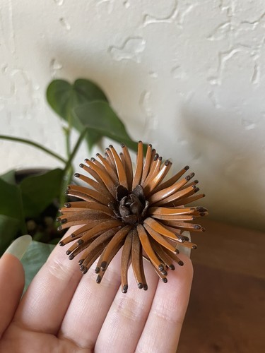 Vintage Flower Brooch Orange Fall Estate Jewelry