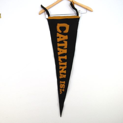 Vintage Catalina Island Felt Pennant Brown Orange