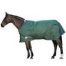 Yukon Turnout Sheet (Green, 82")