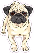 3in x 5in Pug Vinyl Sticker Car Truck Vehicle Bumper Decal