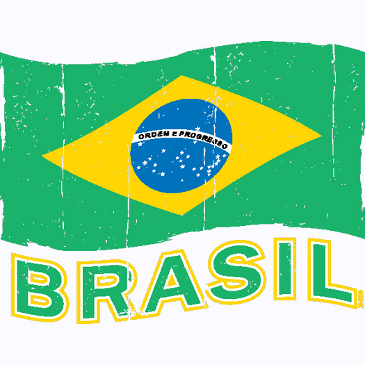 Brasil Flag T Shirt You Choose Style, Size, Color 10628