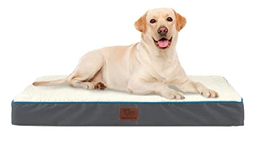 Cama para perros labradores sale
