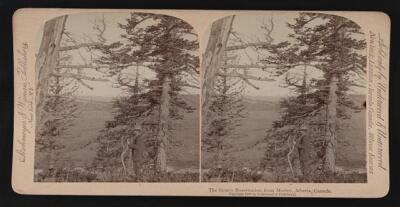 The Stoney Reservation from Morley Alberta Canada Old Photo