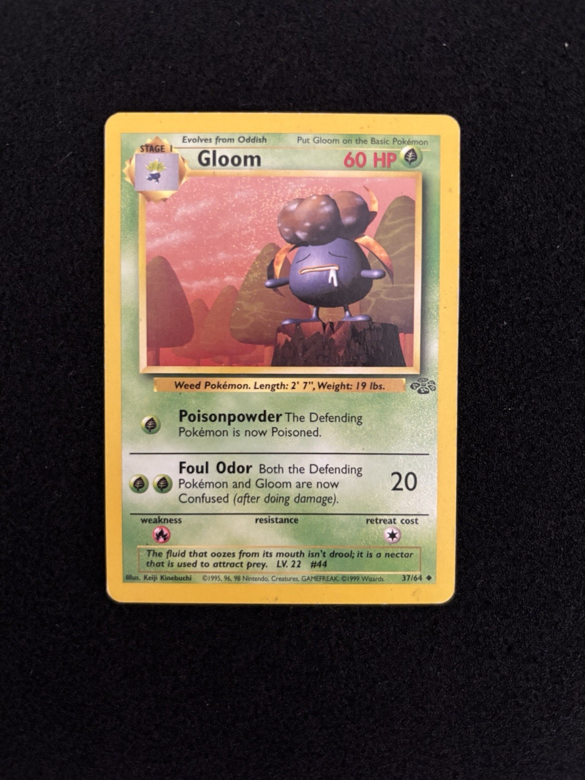 Jungle Base Set Gloom 37/64