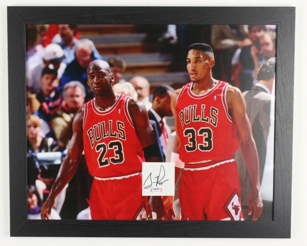 Scottie Pippen Signed Chicago Bulls 18x22 Framed Photo PSA w Michael Jordan