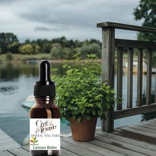 Lemon Balm Tincture ORGANIC Herb Extract Vegan Herbal 50ml Best Quality