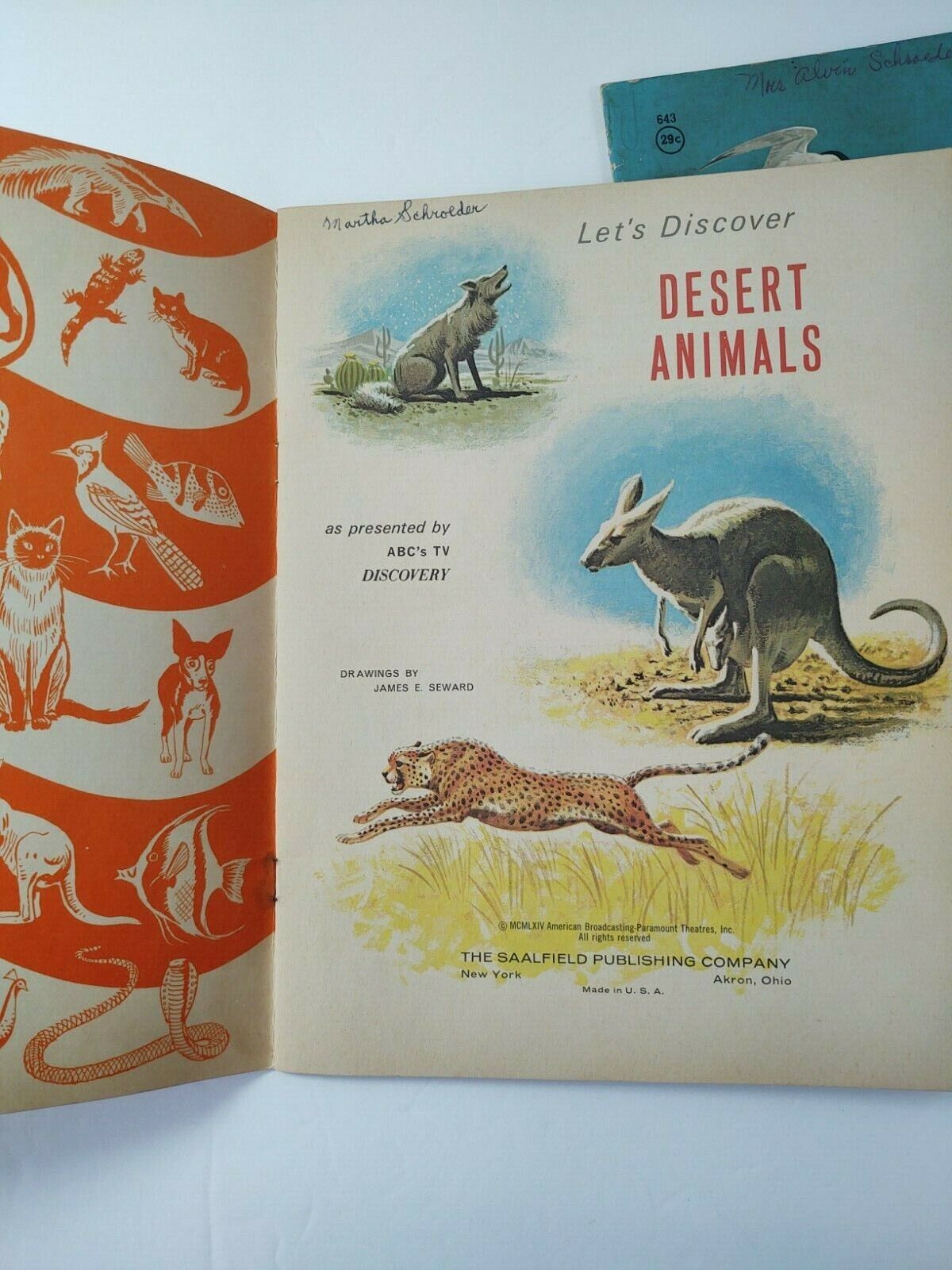 2 Junior See and Know Books Let's Discover Desert Animals Let's Discover  Birds | eBay