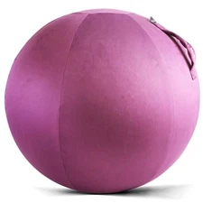 Howdy Bally Protective Cover for Home-Use Yoga/Exercise/Balance Ball with