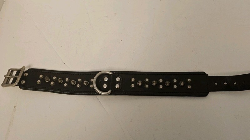 Vintage Leather Black, Multi- Line Spiked Dog Collar, 19" x 2"