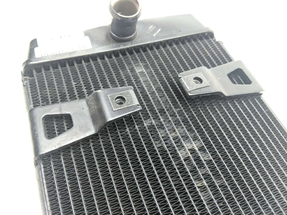 Radiador Triumph Street Twin 1808701 Foto 4 de 4