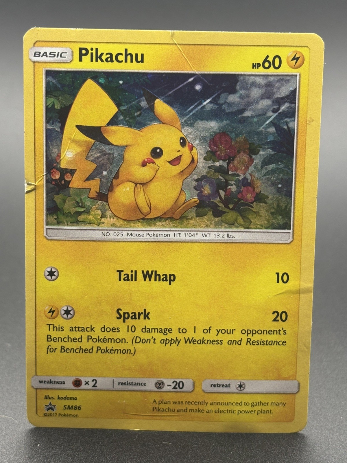 The Pokémon Company Pikachu SM86 SM Black Star Promo Holo 60 HP English 2017 DMG