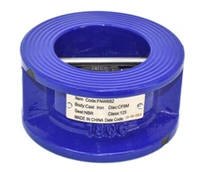 FNW FNW682 Cast Iron Wafer Style Check Valve, 2"