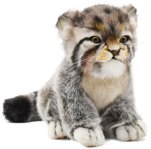 - Pallas Kitten, 12"