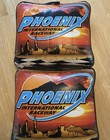Pair of Vintage Nascar Phoenix International Raceway Seat Cushions 2000 