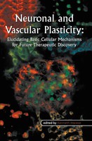 Kenneth Maiese | Neuronal And Vascular Plasticity | Buch | Englisch (2003) | Xiv