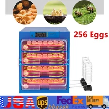 256 Egg Incubator Automatic Egg Turning & Temperature Control Digital Incubators