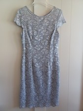 Alex Evenings Illusion Yoke Sequin Embroidered Lace Dove Grey Sheath Dress SZ 8P