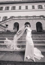 wedding dress pronovias ASH matching veil