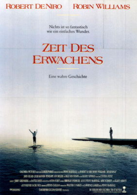 Zeit des Erwachens ORIGINAL A0 Kinoplakat Robert De Niro / Robin Williams