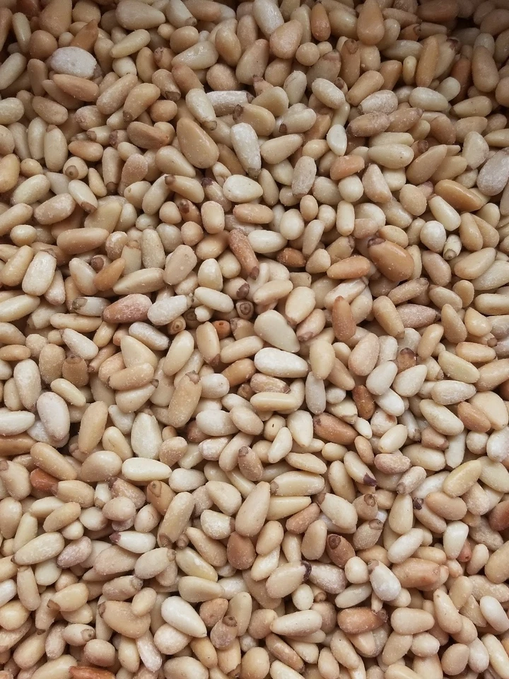 NEW MEXICAN Shelled (out of shell) Roasted & Salted New Mexico Pinon Nuts 1 lb bag 2024 Crop