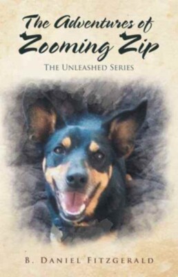 Fitzgerald - Adventures of Zooming Zip - New hardback or cased book -  - X555z