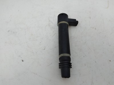 Benelli Coil 21598394 3 2527329 | eBay 