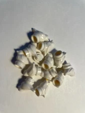 LEGO- NEW #41835 -WHITE-BIRD/SMALL-5 PIECES