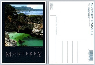 Point Lobos Monterey Peninsula Emerald Waters California Postcard 1983
