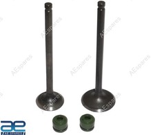 Zylinderkopf Ventilsatz passend f&uuml;r Honda Activa 6G 01471K0LD00