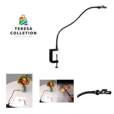 The 21st Century Camera Lucida Drawing Tool