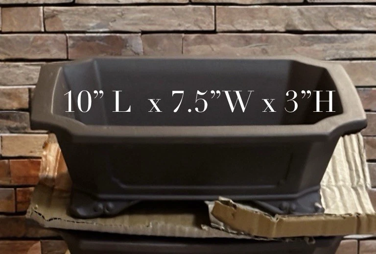 UNGLAZED ZISHA BONSAI POT 10” X 7”- FREE SHIPPING - Image 3 of 4