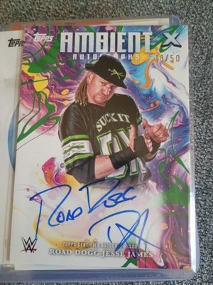 2025 Topps Exalted WWE Ambient Road Dogg Jesse James Autograph #'d 18/50