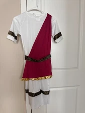 Forum Novelties Caesar Child Costume/Toga, Size Large, EUC