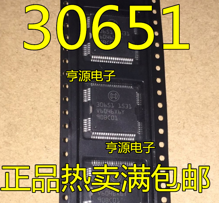 30651 BOSCH Automotive Computer Fuel Injection Driver IC Vulnerable Chip #98HY