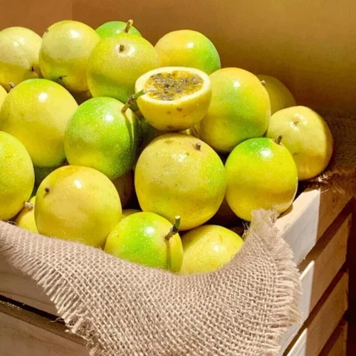 Yellow Passion Fruit, Sweet Granadilla, Passiflora Ligularis- 30 Seeds 2024- USA