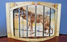 RUSSIAN WOLF Sunday Art Supplement Hearst's Chicago American 1901 Lithograph