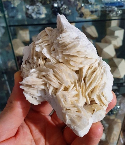 Baryte, Mine de Baugis, Saint-Bresson, Le Vigan, Gard (30), Occitanie, Fr - Picture 7 of 10