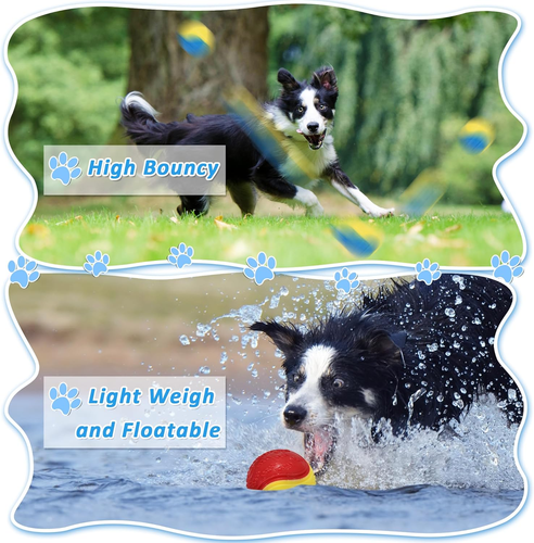 6-Pack Squeaky Dog Balls, 2.5" Tough, High-Bounce Chew Toys for Training & Play - Picture 2 of 11